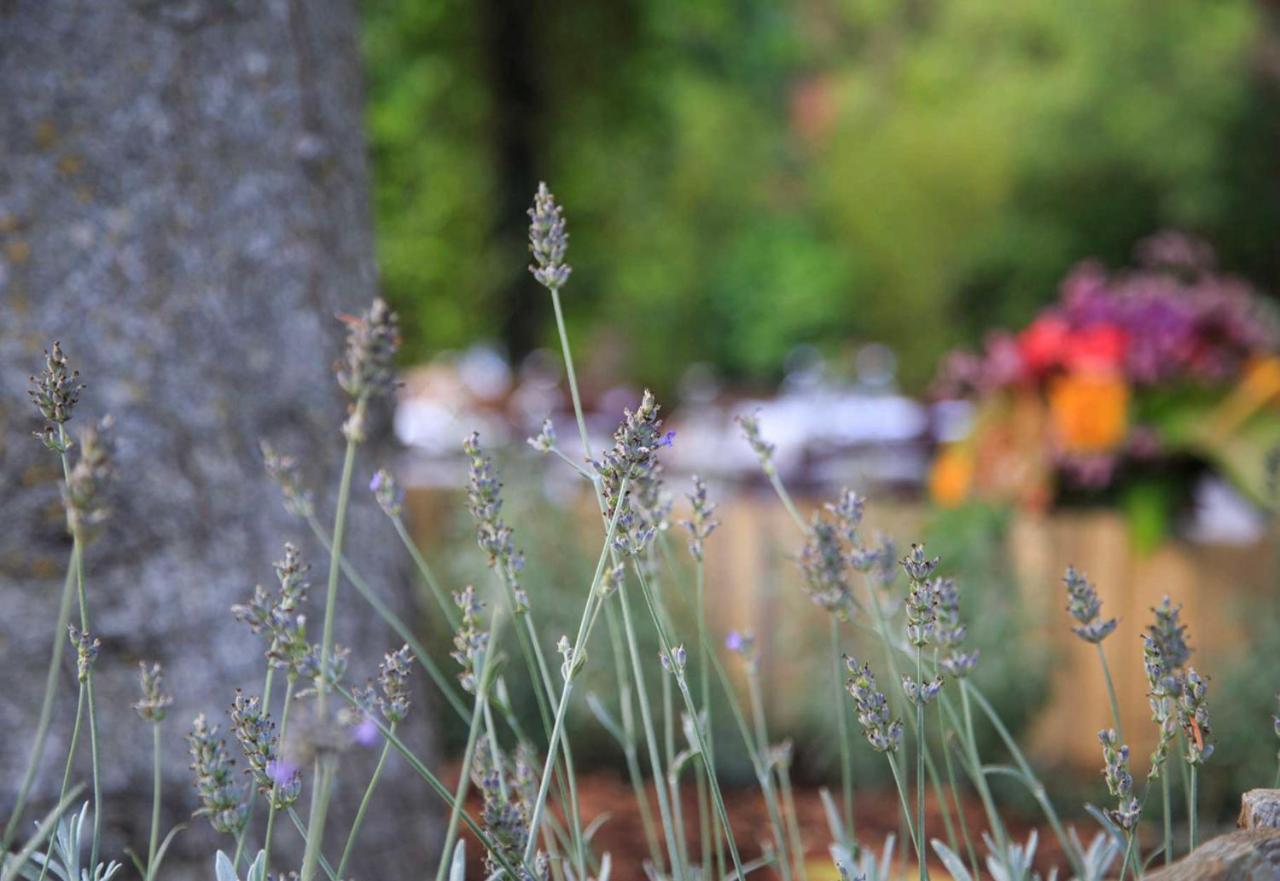 Podere La Miniera Relax & Food Siena Exterior photo